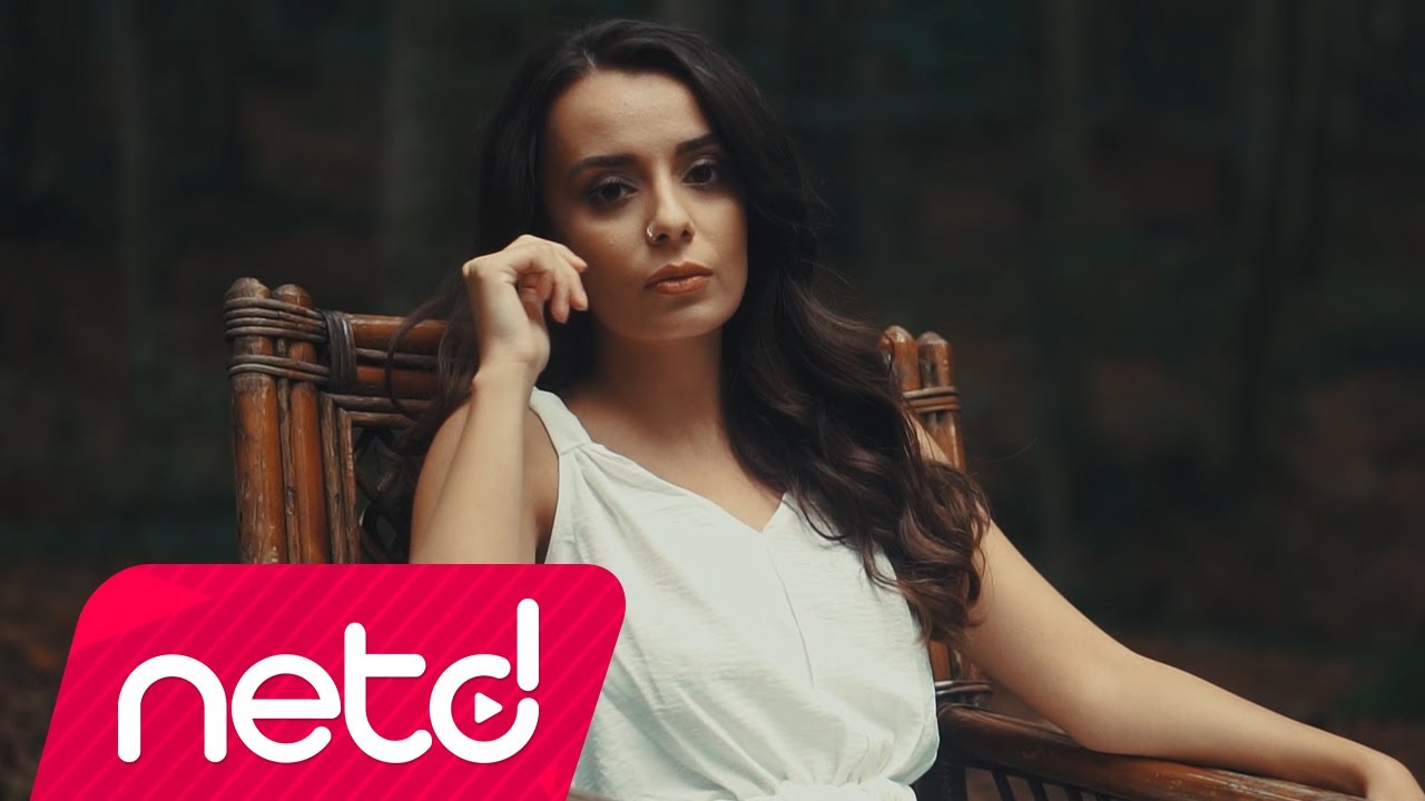 seda yiyin3