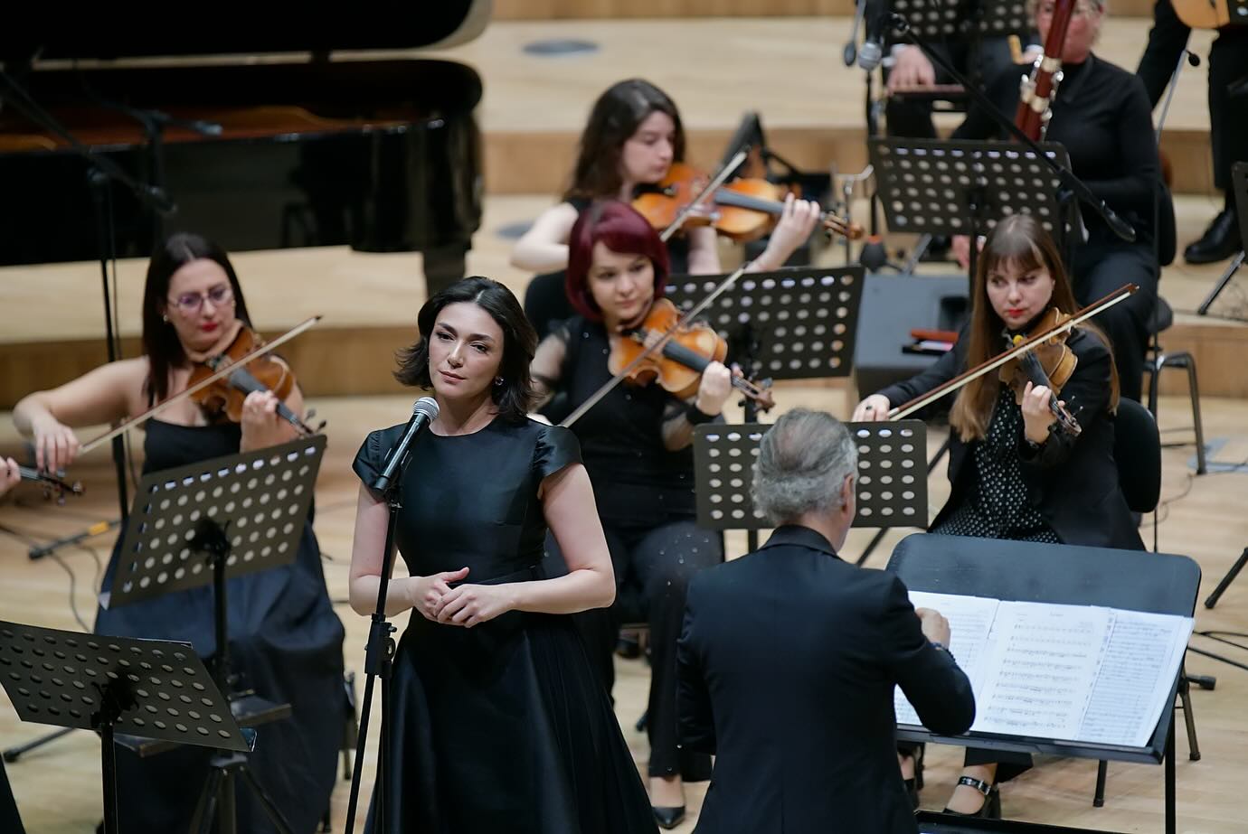şebnem hassanisoughi GALERİ2